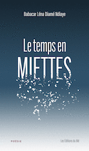 Temps en miettes (Le)